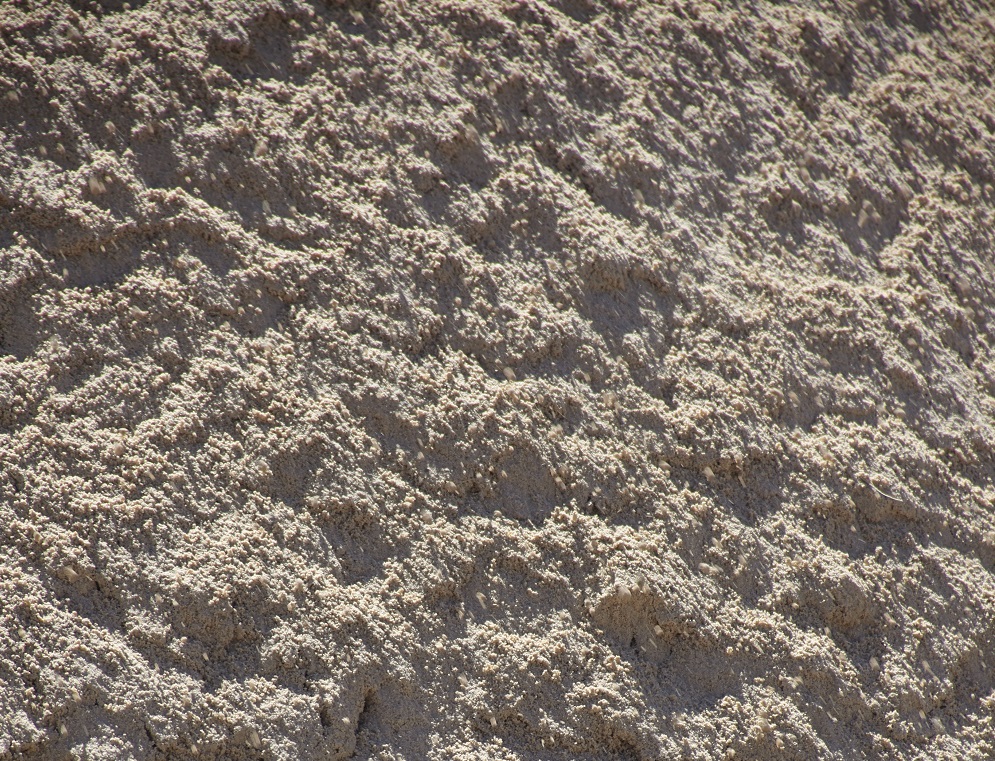 Sand Suppliers Fort Worth | Cushion, Screened, Asphalt & White Beach ...